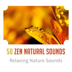 50 Zen Natural Sounds: Relaxing Nature Sounds, Reiki, Yoga, Spa, Meditation, Easy Control Emotions, Positive Calm Mind, Inner Peace