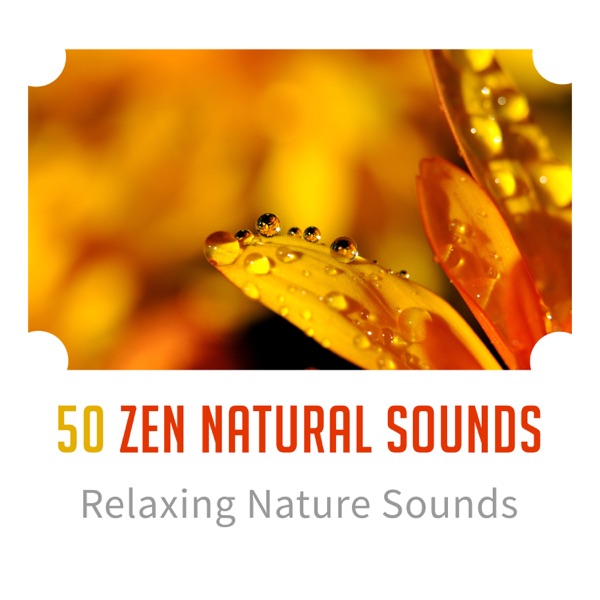 50 Zen Natural Sounds: Relaxing Nature Sounds, Reiki, Yoga, Spa, Meditation, Easy Control Emotions, Positive Calm Mind, Inner Peace