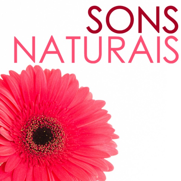 Sons Naturais - Paisagens Sonora para Sono Profundo, Cura Vibracional con Sons da Natureza