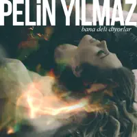 Bana Deli Diyorlar (Remix) — Pelin Yılmaz