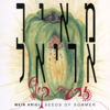 Zirey Kaitz (Seeds of Summer) - Meir Ariel