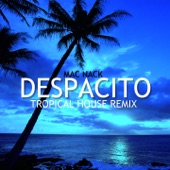 Despacito (Tropical House Mix) artwork