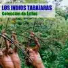Los Indios Tabajaras - Begin The Beguine