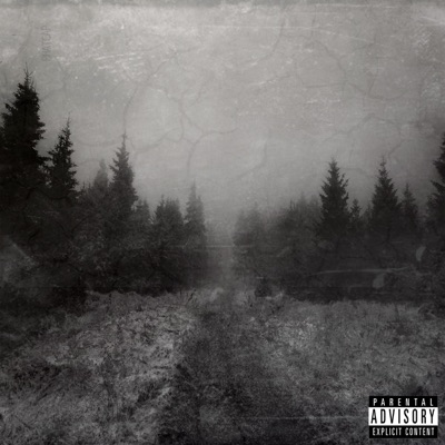 The Fade Away - Single