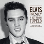 Elvis Presley - I Love You Because (Takes 1-2)