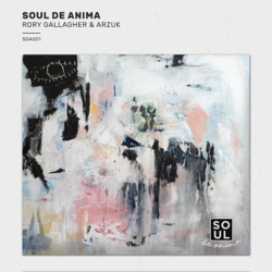Soul de Anima - Rory Gallagher &amp; Arzuk Cover Art