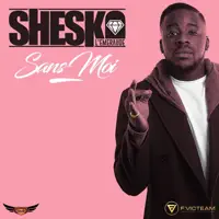 Sans moi — Shesko l'emeraude