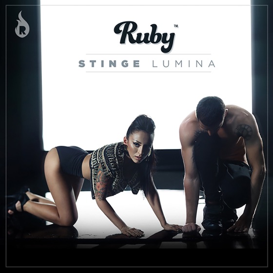 Cover artwork for Stinge Lumina