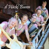 Häckl-Buam - Pretuler Polka