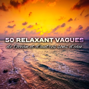 50 Relaxant vagues de l'océan et d'autres sons d'eau - Musique pour dormir, méditation et détente