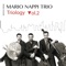 Something - Mario Nappi Trio lyrics