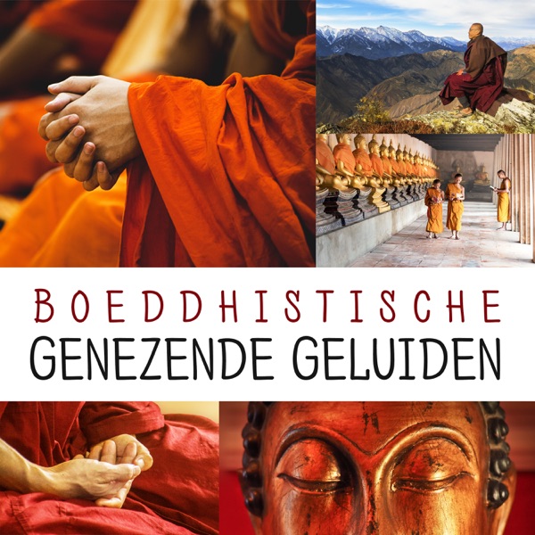 Boeddhistische Genezende Geluiden - Natuurliedjes En Ontspannende Tracks Voor OM-Chanting, Gebed Van Sterkte En Spirituele Verbinding