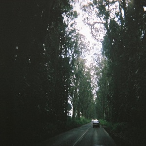 Tide Pools (Small Culture Mix) - Single