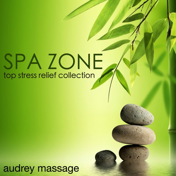 Spa Zone - Top Stress Relief Collection, Relaxing Tracks for Ayurvedic Healers and Mystics