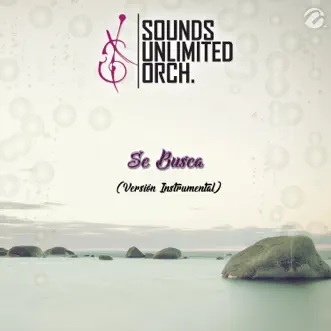 Se Busca (Versión Instrumental) - Single by Sounds Unlimited Orchestra album reviews, ratings, credits