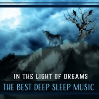 In the Light of Dreams: The Best Deep Sleep Music – Gentle Sounds for Soothe Soul, Calm Down, Time for You, Nap, Snooze, Slumber & Rest - Deep Sleep Music Academy