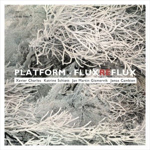 Flux Reflux (feat. Xavier Charles, Katrine Schiøtt, Jan Martin Gismervik & Jonas Cambien)