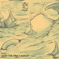 Void - Single - Justin Pak & Max Casebolt