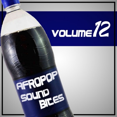 Afropop Sound Bites, Vol. 12