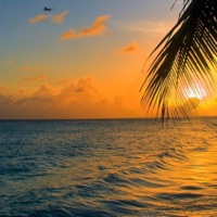 Paradise - Single - Caleb Belkin