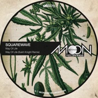 Way of Life - Single - Squarewave