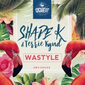 Wastyle artwork