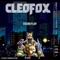 Anti Social (feat. Jay the Fox) - Cleo Fox lyrics