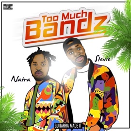 Too Much Bandz (feat. Natra) stevie