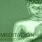 Meditar Profundamente - Meditacion Budista Maestros lyrics