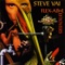 You Didn't Break It - Steve Vai lyrics