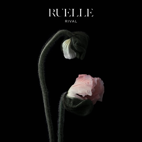 Cover artwork for Rival