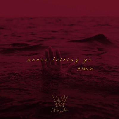 Never Letting Go (feat. Stan Jr.) - Single