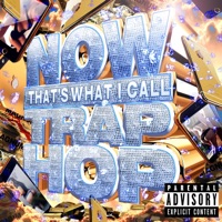 Now - Single - Starfoxlaflare