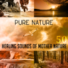 Calm Sea Waves - Nature Sounds Collective