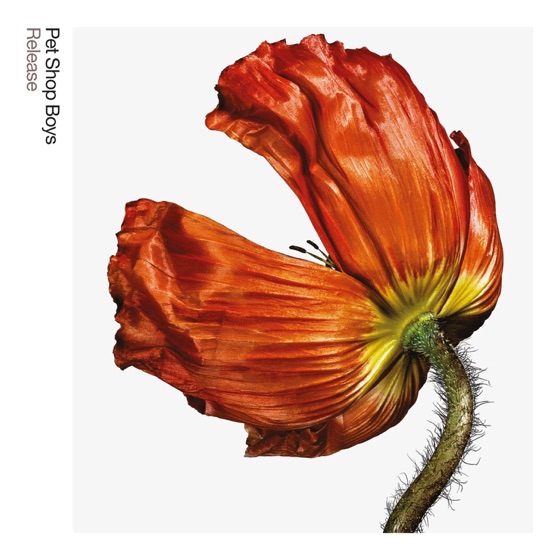 Cover artwork for Between Two Islands
