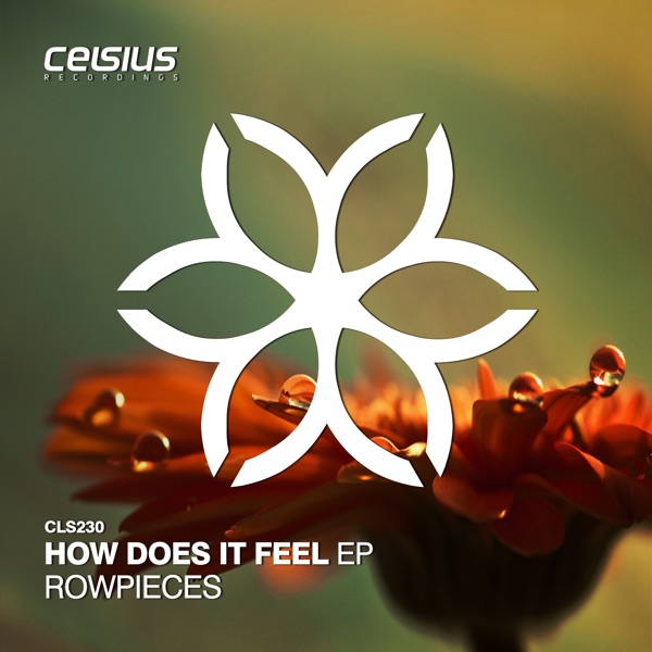 How Does It Feel - EP