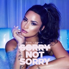 Sorry Not Sorry artwork