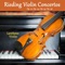 Violin Concerto in D Major, Op. 36: II. Andante - Lawfame Violin lyrics