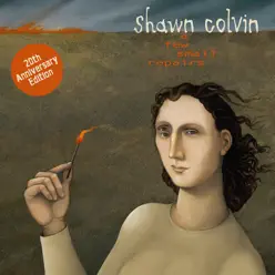 A Few Small Repairs: 20th Anniversary - Shawn Colvin