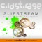 Hakapik Murder - CoLD SToRAGE lyrics