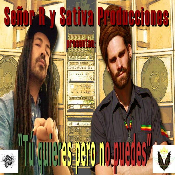 Tu Quieres Pero No Puedes - Single