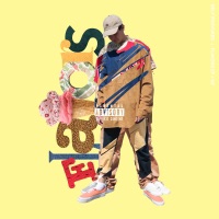 Flavors - Self Provoked