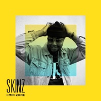 I Min Zone - Single - Skinz