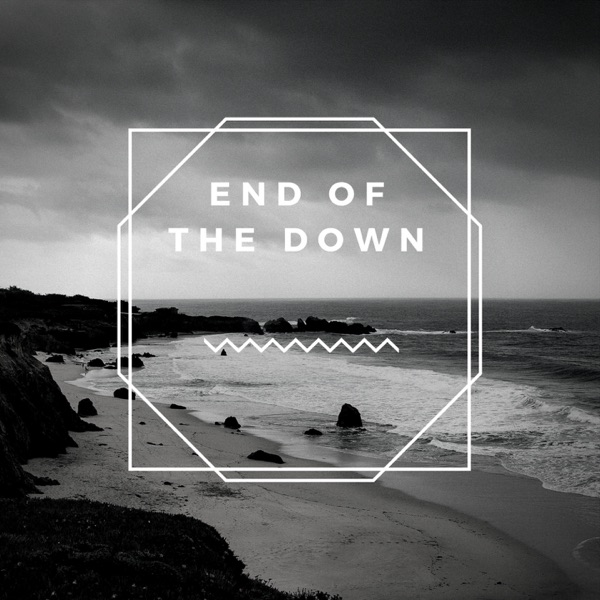 End of the Down - Single