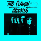 The Flamin' Groovies - Shake Some Action