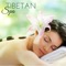 Asian Zen Spa Music Meditation - Massage Therapy Ensamble lyrics
