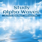 Study Alpha Waves artwork