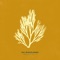 Bronze (Desert Mix) - The Woodlands lyrics