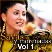 Sayas y Morenadas, Vol. 1 artwork