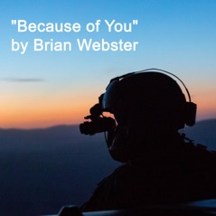 Because of You - Single (feat. Morgan Myles) - Single